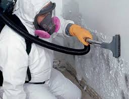 Best Comprehensive Air Testing for Mold Contaminants  in USA